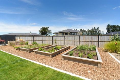 Photo of property in 19 George Street, Bulls, 4818