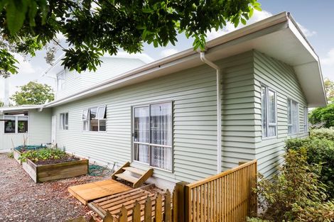 Photo of property in 162 Limbrick Street, Terrace End, Palmerston North, 4410