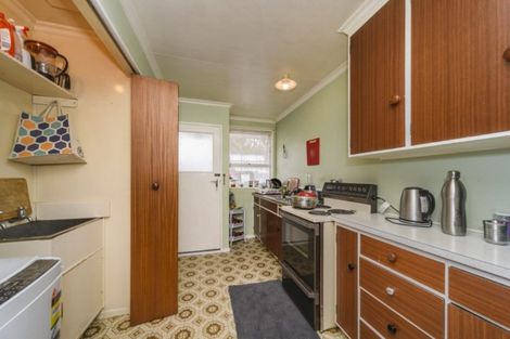 Photo of property in 290d Ruahine Street, Terrace End, Palmerston North, 4410