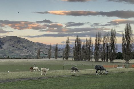 Photo of property in 40 Fay Lane, Queensberry, Cromwell, 9383