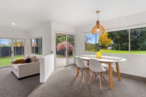 Photo of property in 62a Grange Road, Otumoetai, Tauranga, 3110