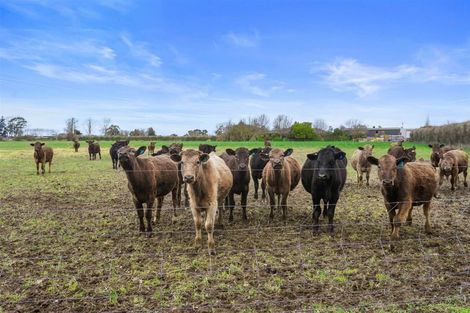 Photo of property in 58 Mill Road, Clarkville, Kaiapoi, 7692