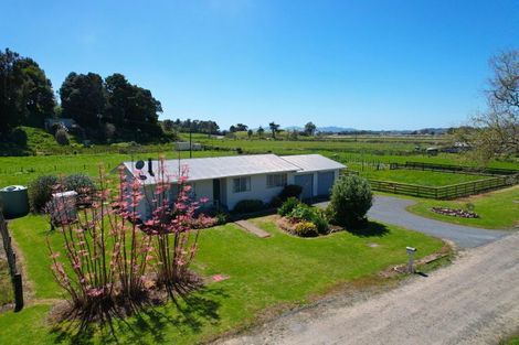 Photo of property in 18 Spring Street, Dargaville, 0371
