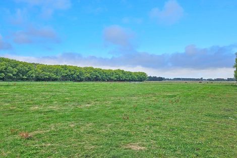 Photo of property in 78 Skewbridge Road, Flaxton, Kaiapoi, 7691