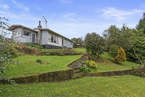 Photo of property in 129 Tirau Street, Putaruru, 3411