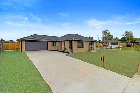 Photo of property in 40 Murray Ward Drive, Te Kauwhata, 3710