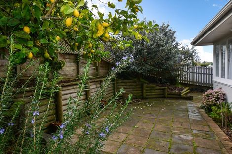 Photo of property in 34 Gibson Road, Dinsdale, Hamilton, 3204