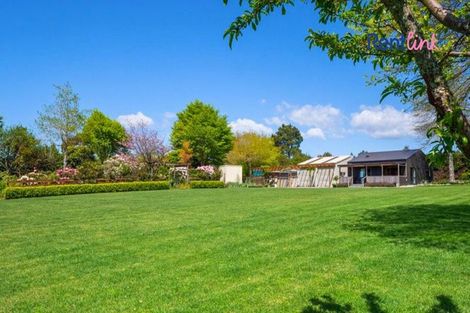 Photo of property in 497e Joyce Road, Pyes Pa, Tauranga, 3173