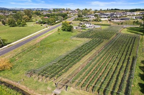 Photo of property in 126 Travers Road, Te Kauwhata, 3782