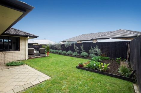 Photo of property in 50 Matipo Street, Matamata, 3400