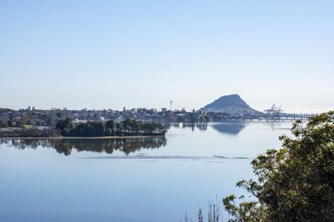 Photo of property in 63 Ririnui Place, Maungatapu, Tauranga, 3112