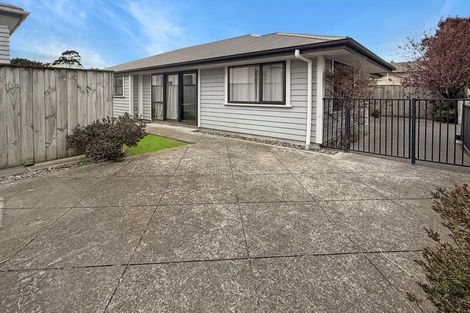 Photo of property in 169 Ruahine Street, Roslyn, Palmerston North, 4414