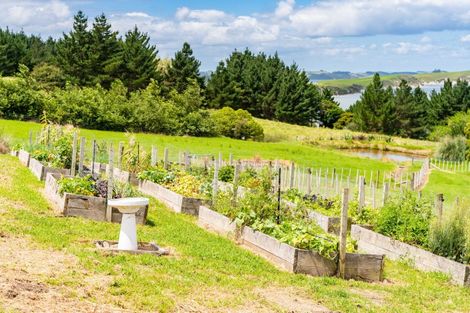 Photo of property in 24 Karakanui Road, Tinopai, Matakohe, 0593