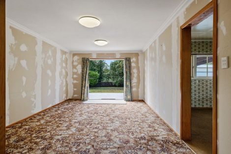 Photo of property in 11a Arthur Street, Pahiatua, 4910