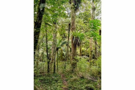 Photo of property in 73 Weka Lane, Okaihau, 0475