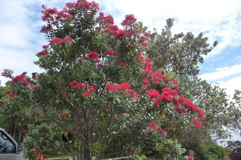 Photo of property in 54 Little Bay Drive, Waikawau, Coromandel, 3584