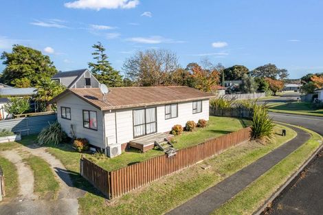 Photo of property in 2 Birch Place, Aramoho, Whanganui, 4500