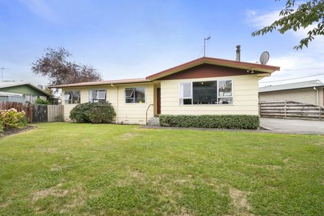 Photo of property in 8 Custom Street, Ashhurst, 4810