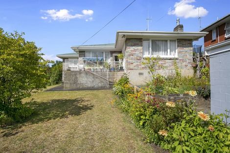 Photo of property in 8 Central Street, Putaruru, 3411