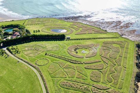 Photo of property in 964 Waianakarua Road, Herbert, 9495