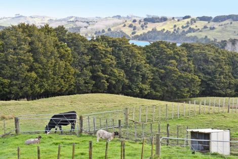 Photo of property in 301 Ranganui Road, Kaiwaka, 0573