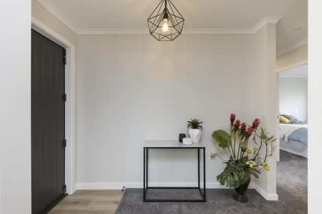 Photo of property in 107a Queen Street West, Levin, 5510