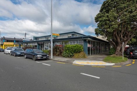 Photo of property in 22 Raroa Road, Kelburn, Wellington, 6012