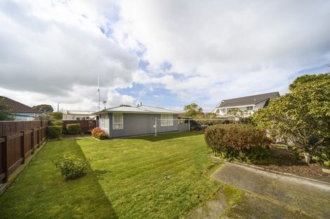 Photo of property in 84a Fitzroy Street, Terrace End, Palmerston North, 4410