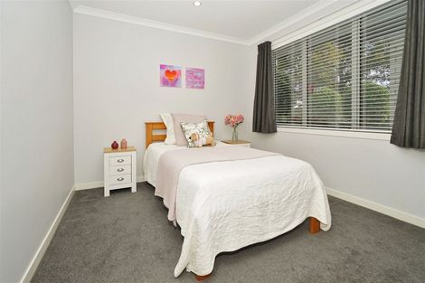 Photo of property in 17 Tanaka Drive, Tamahere, Hamilton, 3283