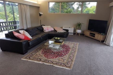 Photo of property in 63 Casey Avenue, Fairfield, Hamilton, 3214