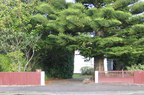Photo of property in 36b Manson Street, Terrace End, Palmerston North, 4410