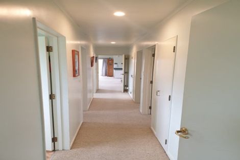 Photo of property in 6 Allman Drive, Coromandel, 3506