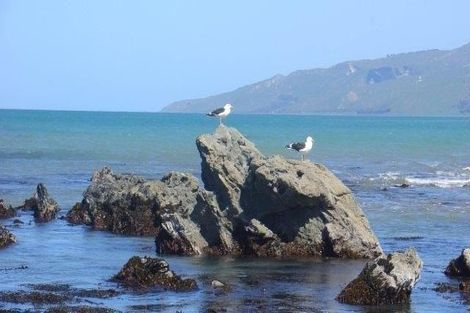 Photo of property in 9 Nunu Drive, Flat Point, Masterton, 5883