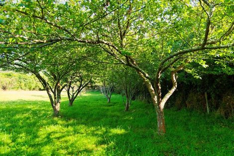 Photo of property in 759 Mount Fyffe Road, Kaikoura Flat, Kaikoura, 7371