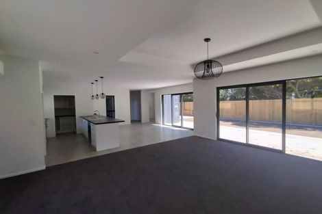 Photo of property in 59b Pharazyn Street, Feilding, 4702