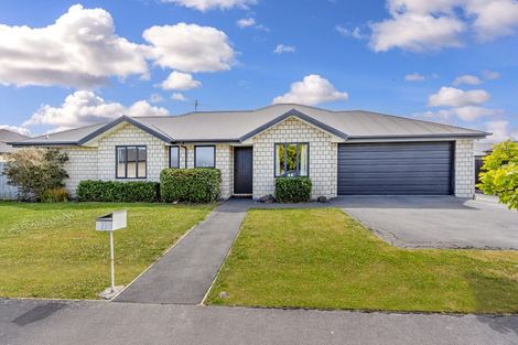 Photo of property in 23 Larne Place, Belfast, Christchurch, 8051