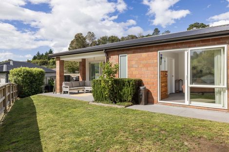 Photo of property in 20 Pakanga Grove, Pyes Pa, Tauranga, 3112