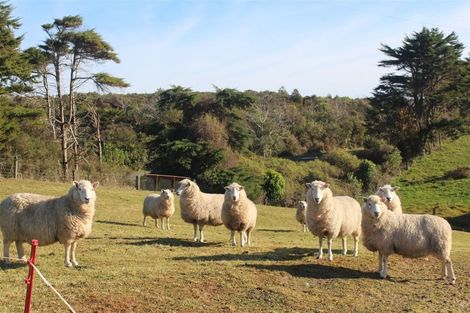 Photo of property in 1000 Wilsons Lead Road, Cape Foulwind, Westport, 7892