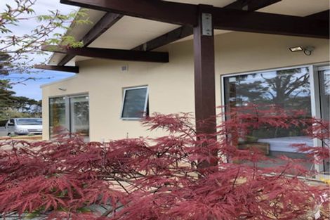 Photo of property in 217 Lonely Track Road, Albany Heights, Auckland, 0632