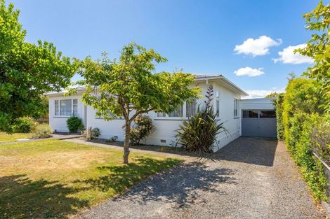 Photo of property in 50a Totara Street, Lansdowne, Masterton, 5810