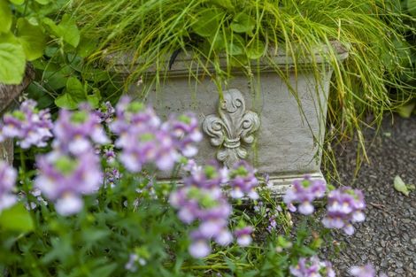 Photo of property in 8 River Glade, Waikanae, 5036