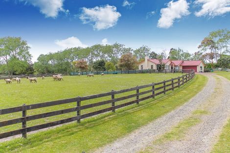 Photo of property in 7 Spedding Road, Whenuapai, Auckland, 0618