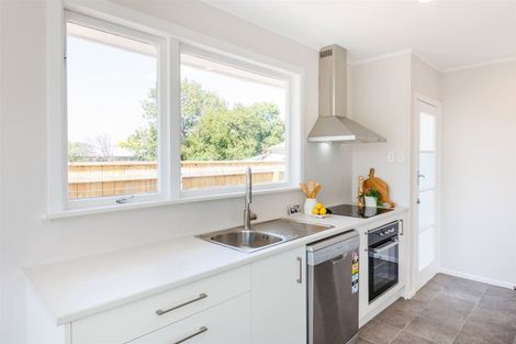 Photo of property in 49a Kettle Avenue, Awapuni, Palmerston North, 4412