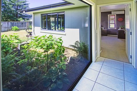 Photo of property in 31 York Street, Solway, Masterton, 5810
