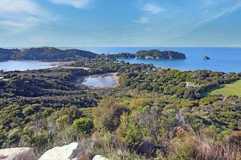 Photo of property in 51 Wharariki Road, Puponga, Collingwood, 7073