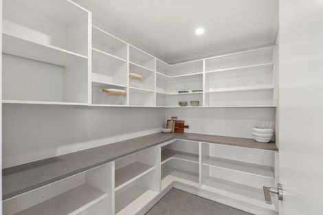 Photo of property in 49 Hoki Avenue, Morrinsville, 3300