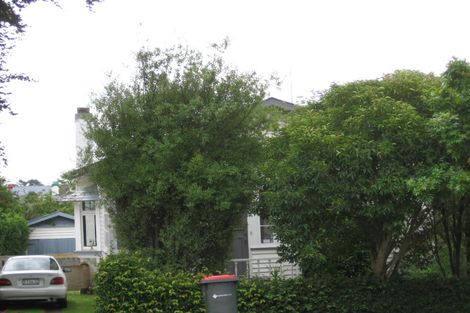 Photo of property in 58 Woodward Road, Mount Albert, Auckland, 1025