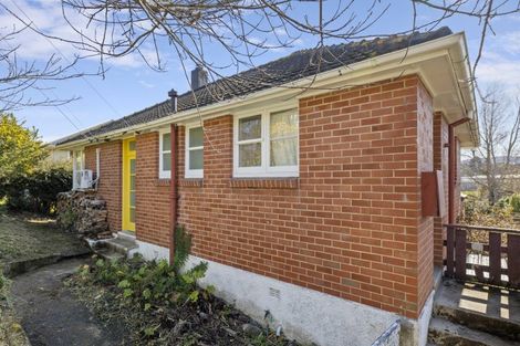 Photo of property in 14 Panmure Avenue, Calton Hill, Dunedin, 9012