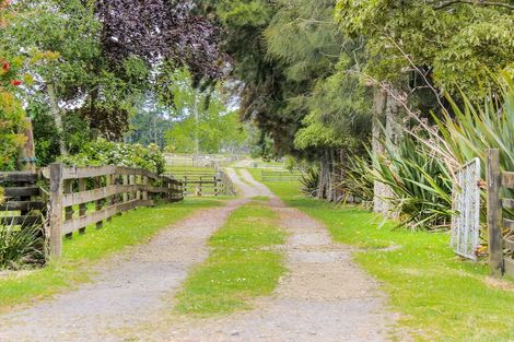 Photo of property in 7 Spedding Road, Whenuapai, Auckland, 0618