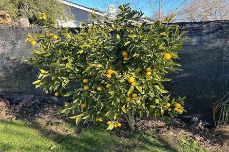 Photo of property in 22 Beach Road, Hampstead, Ashburton, 7700